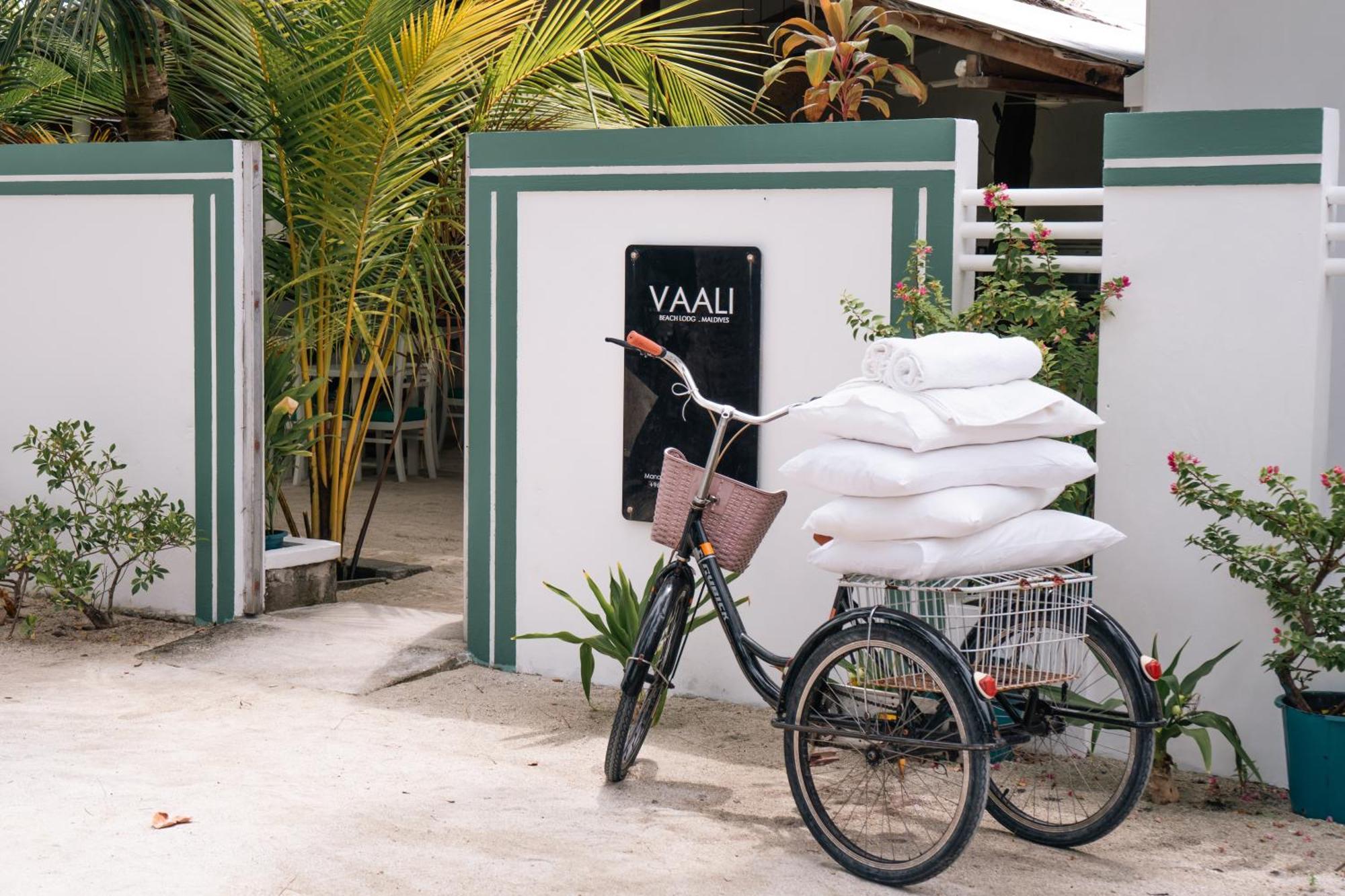 מלון פלידהו Vaali Maldives Island Escapes & Dive מראה חיצוני תמונה