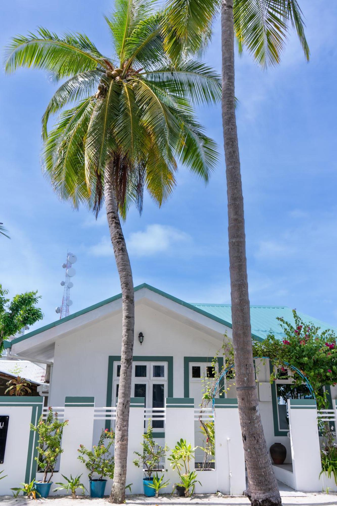 מלון פלידהו Vaali Maldives Island Escapes & Dive מראה חיצוני תמונה
