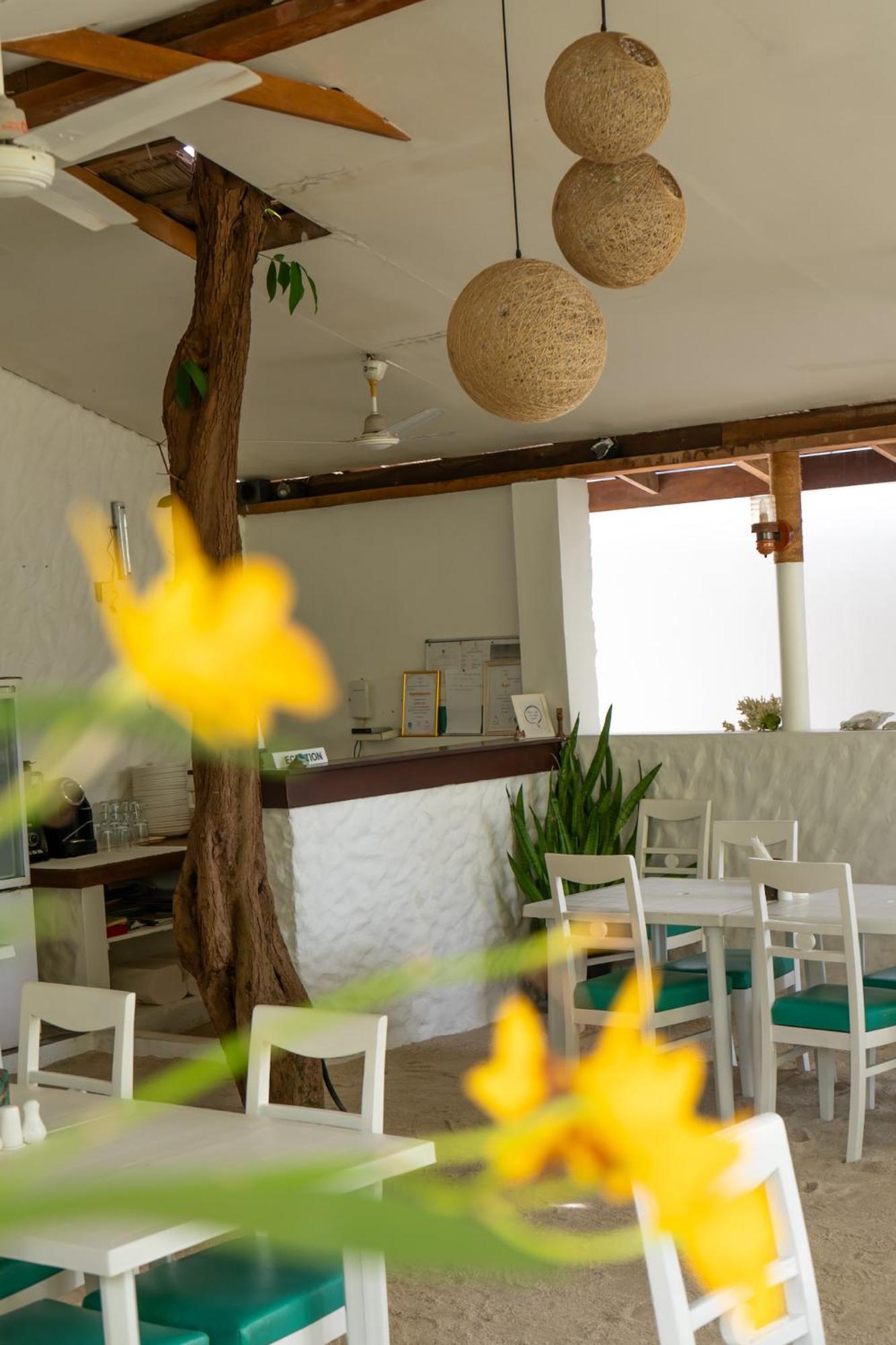מלון פלידהו Vaali Maldives Island Escapes & Dive מראה חיצוני תמונה